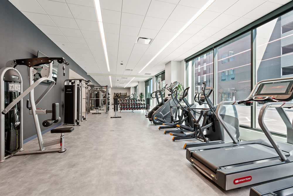 Modern gym with exercise machines, treadmills, stationary bikes, weight machines, and free weights, with large windows allowing natural light.